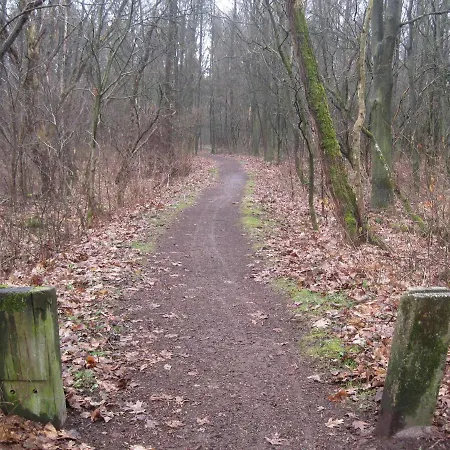 Vakantiehuis Zuiderveld Geesbrug Buitenkant foto