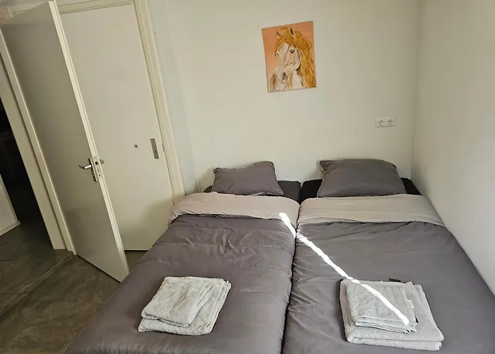 Vakantiehuis Zuiderveld