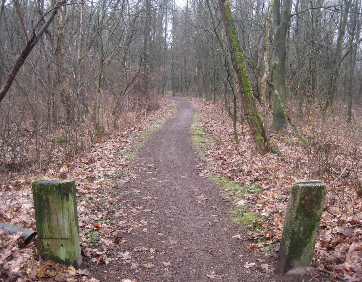 Vakantiehuis Zuiderveld *